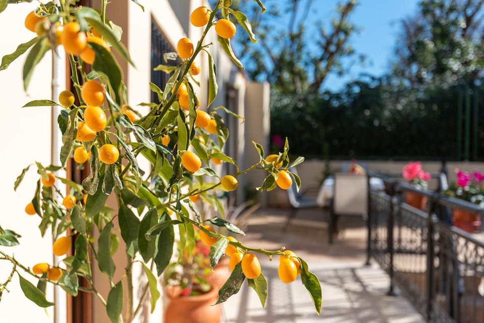 Maria’s home with Terrace, close to the Beach Apartment in Kos
