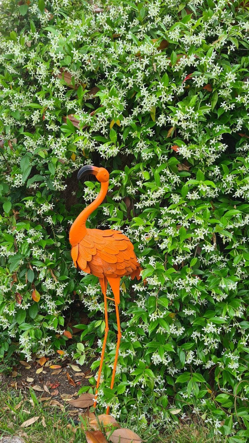 Natural landscape, Animals