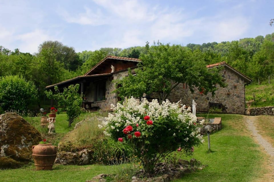 Property building, Garden