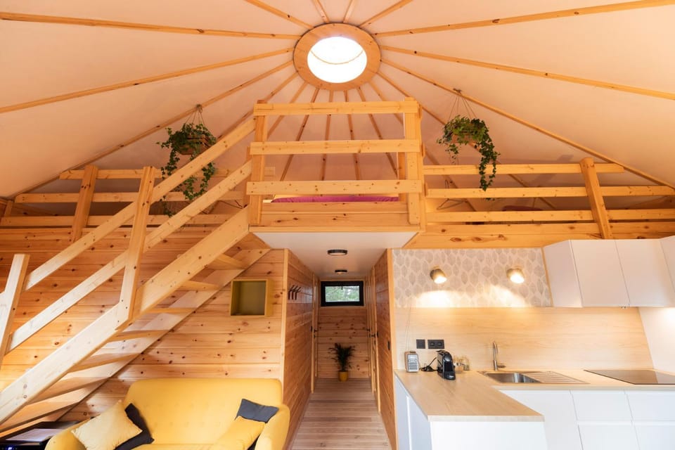 Living room, kitchen