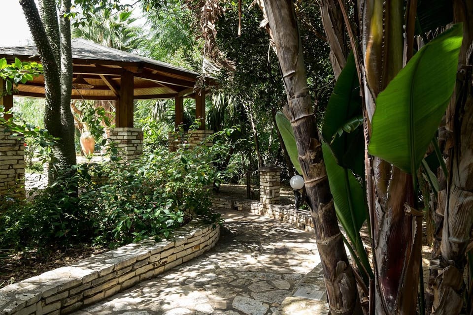 Patio, Garden