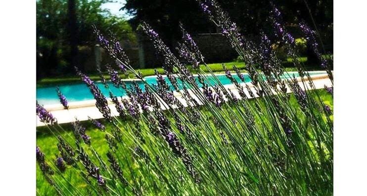 Maison Antonia Bed and Breakfast in Occitanie