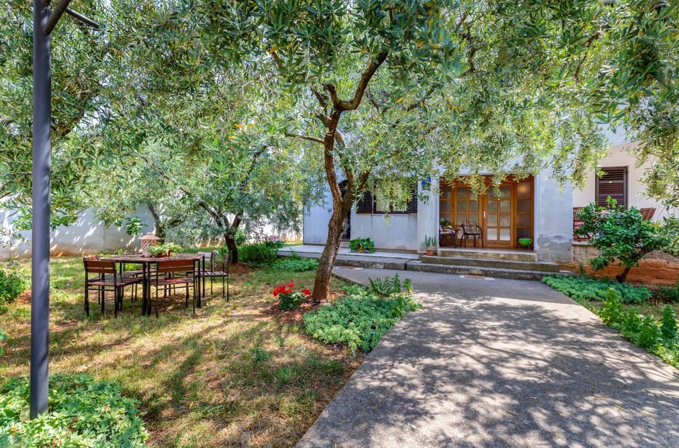 Patio, Facade/entrance, Garden