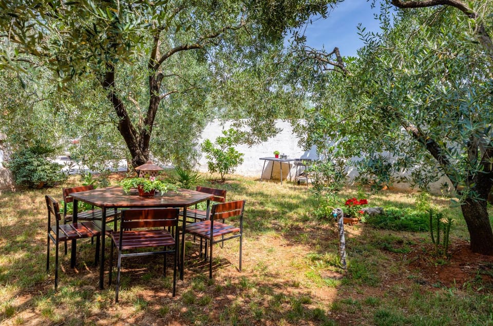 Patio, Garden