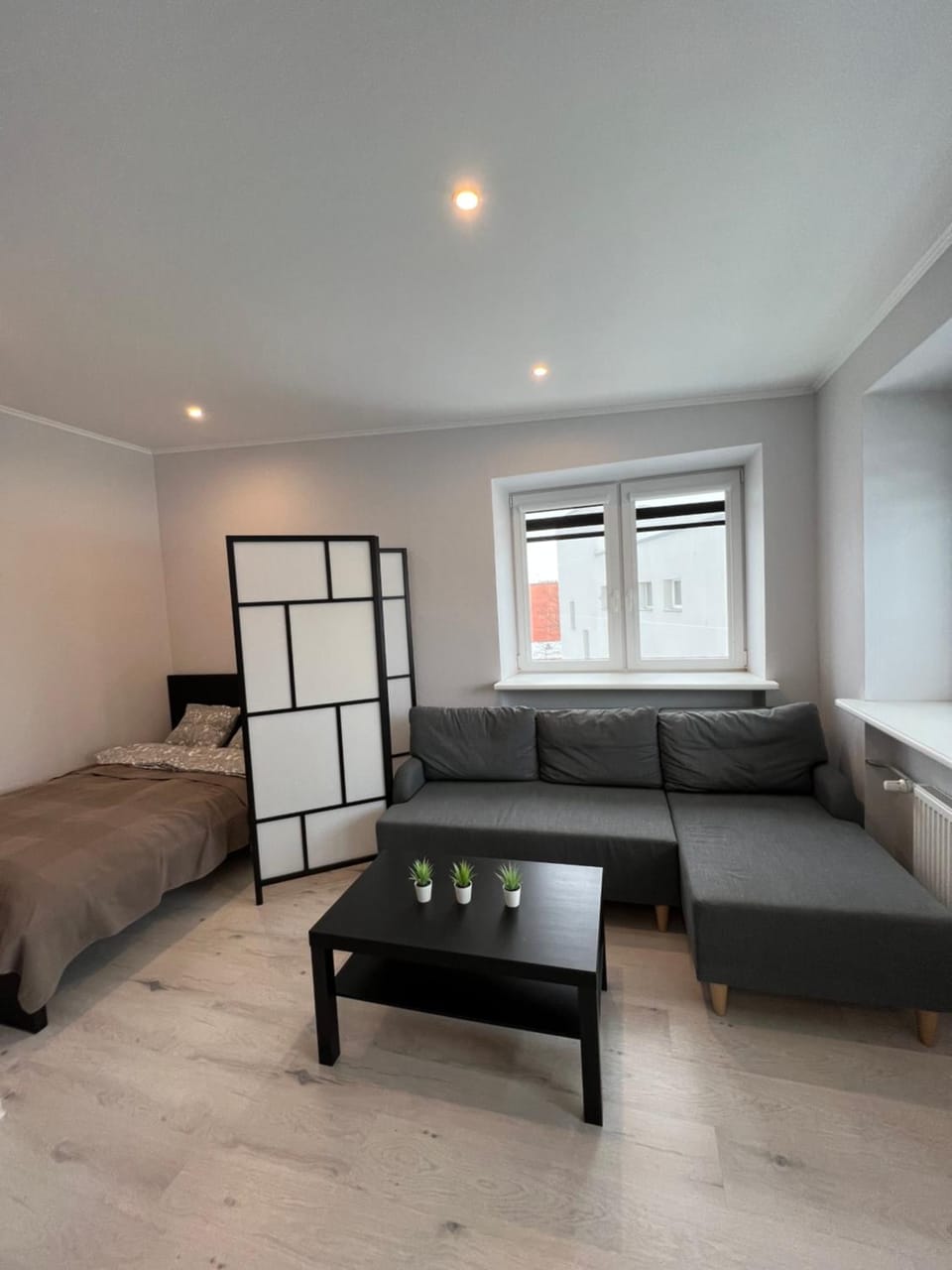 Bed, Living room, Photo of the whole room, Seating area, Bedroom