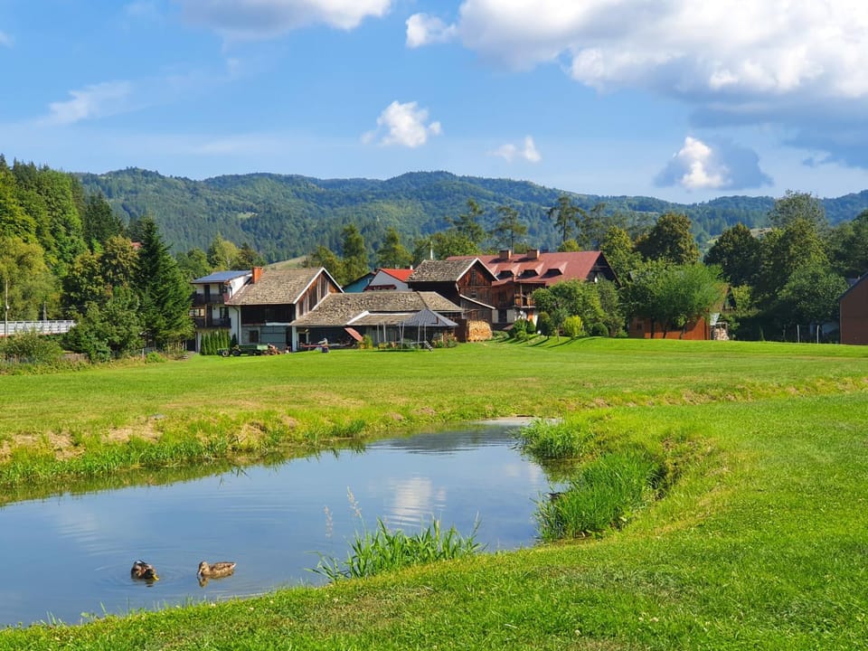 Spring, Off site, Day, Natural landscape, Summer, Animals, Lake view, Mountain view, River view, Location