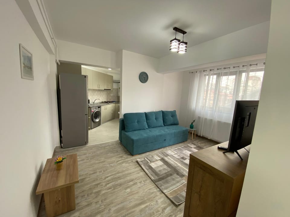 Renting Solutions Deluxe Apartment in Moldova