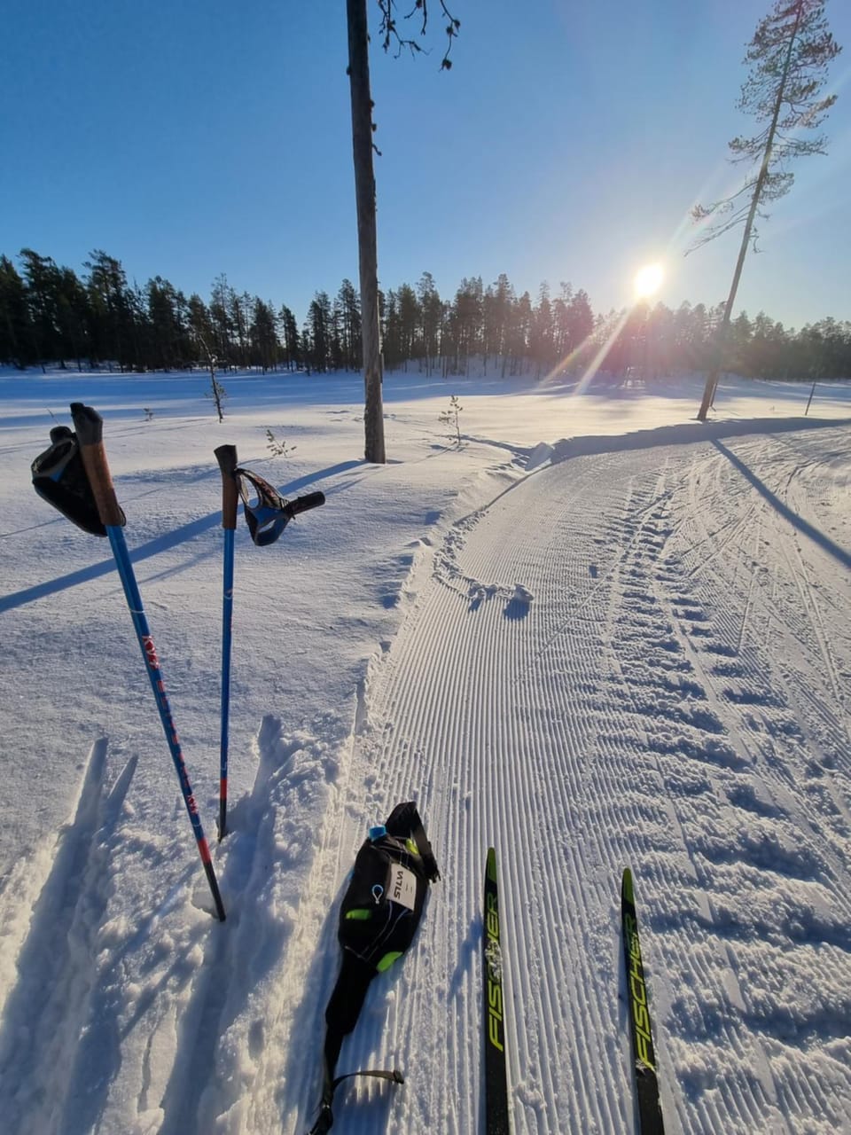 Natural landscape, Winter, Skiing