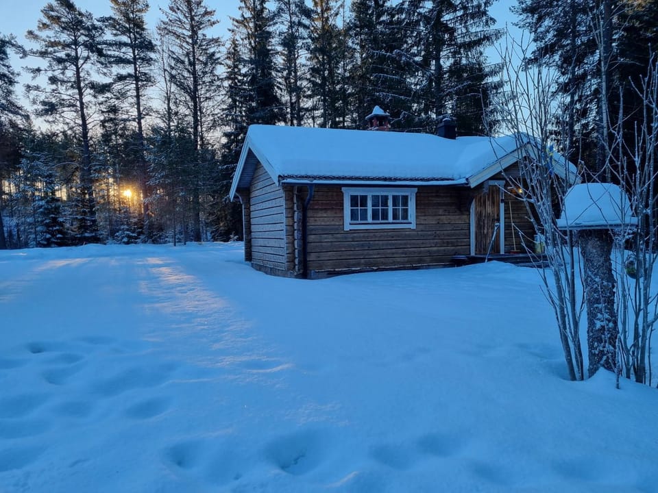Property building, Natural landscape, Winter