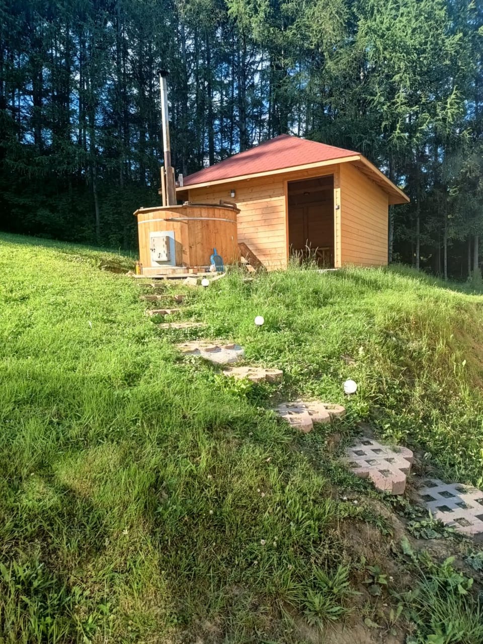 BIESZCZADZKA Antosiówka Apartment in Poland