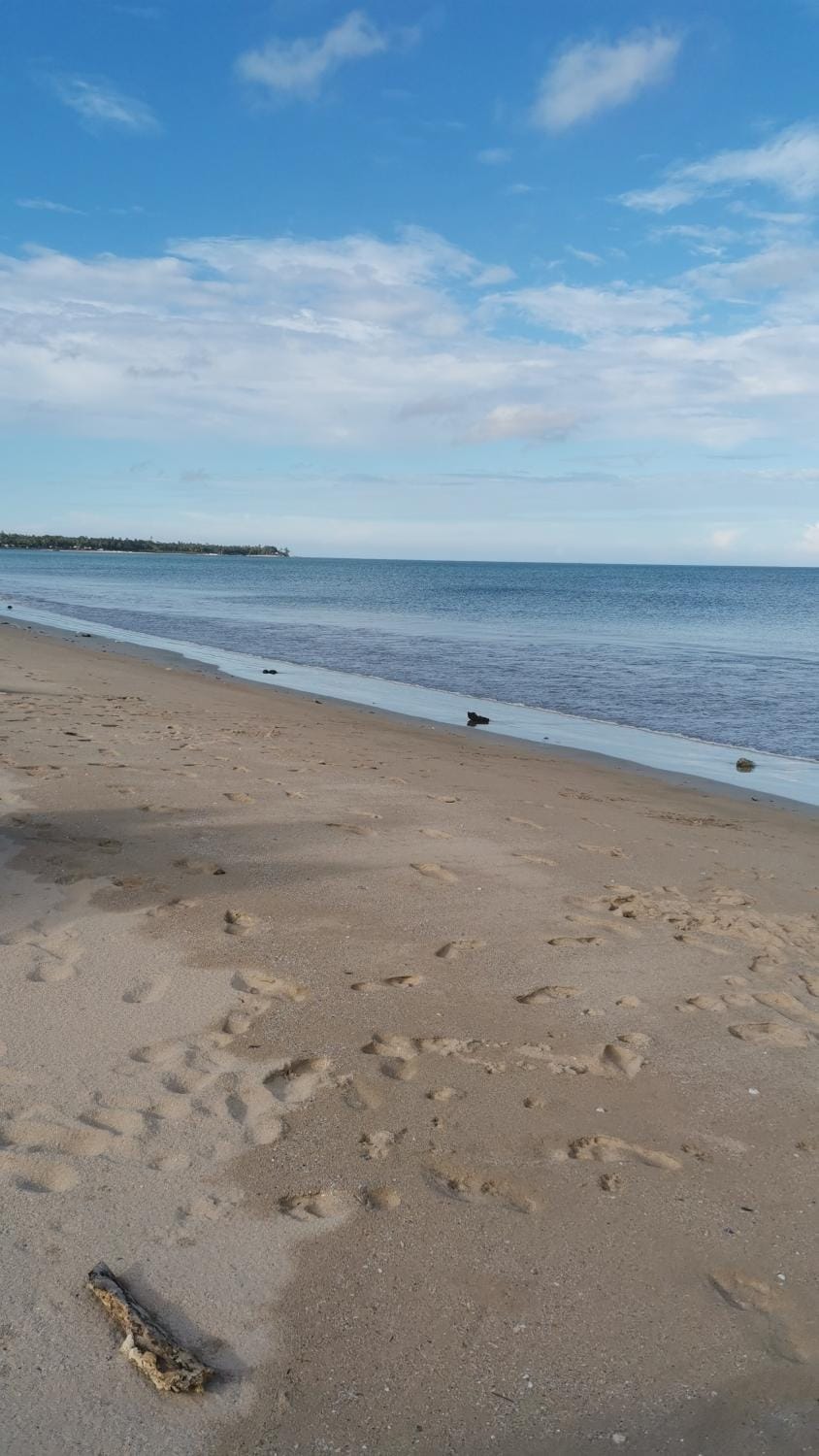 Natural landscape, Beach, Sea view