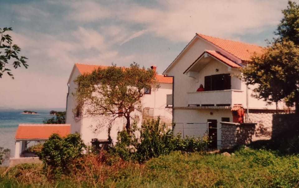 House Branka Apartment in Supetarska Draga