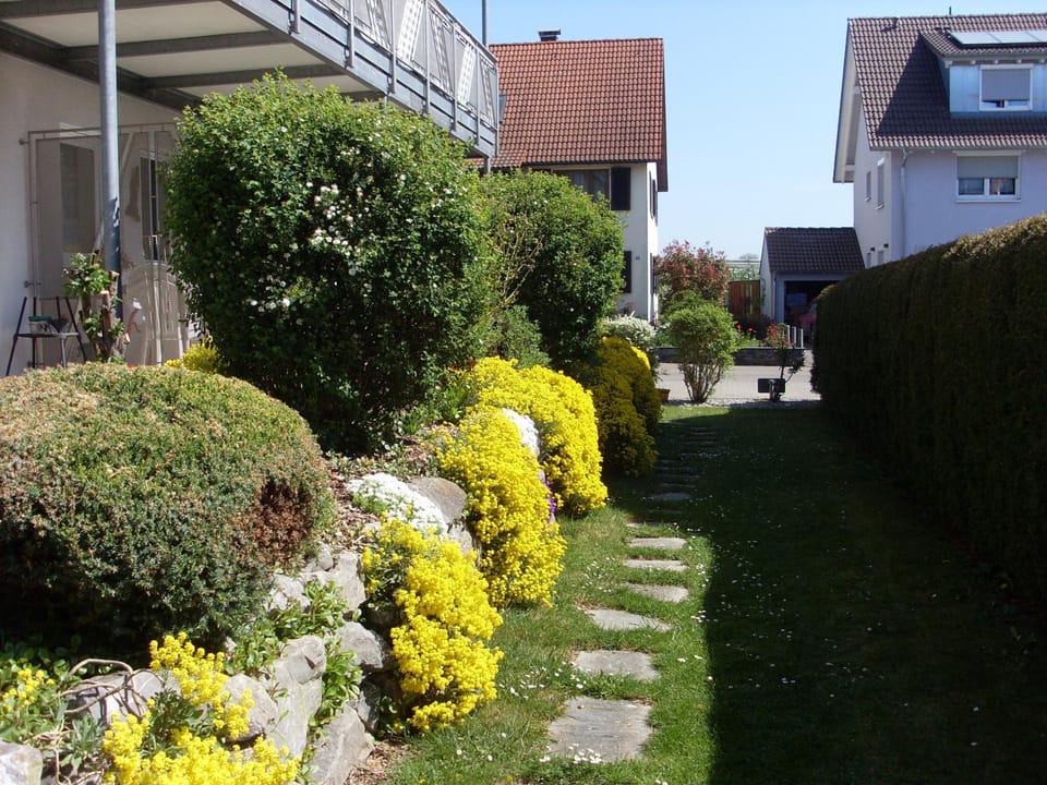 Garden view