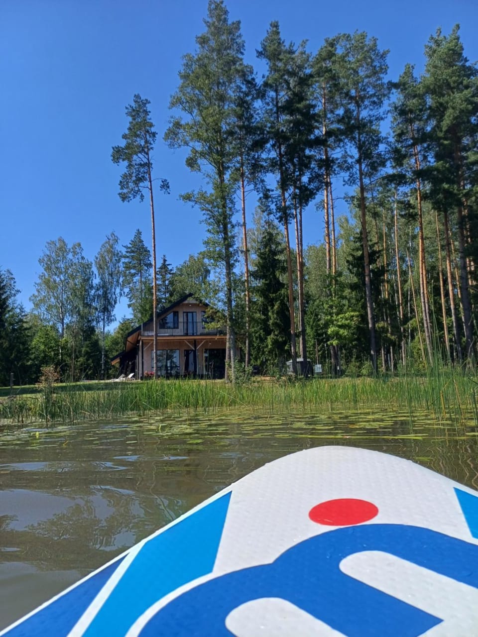 Lake view