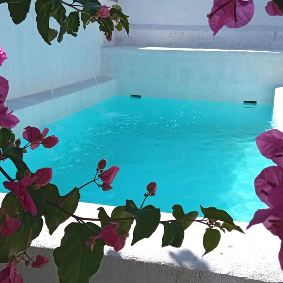 Swimming pool, Swimming pool