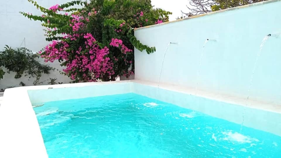 Pool view, Swimming pool