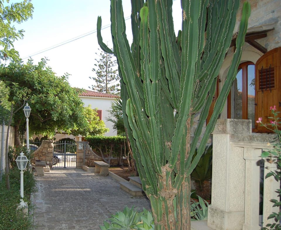 Garden, Inner courtyard view