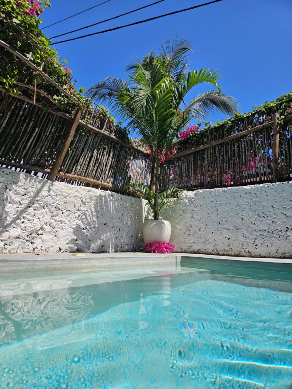 Pool view, Pool view, Swimming pool, Swimming pool