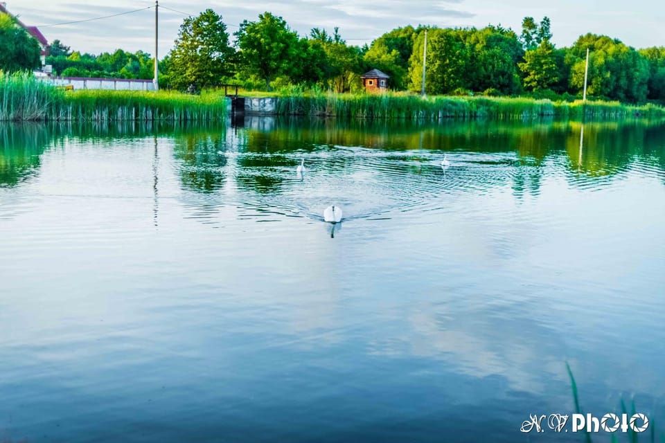 Lake view