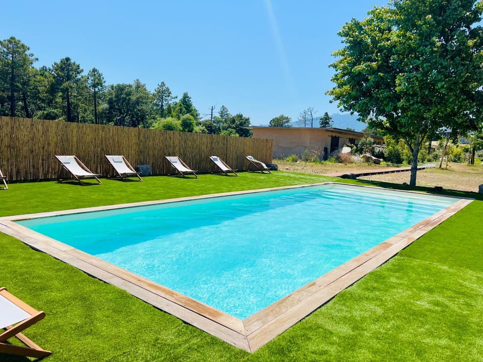 Day, Natural landscape, Garden, Pool view, Swimming pool, Swimming pool, sunbed