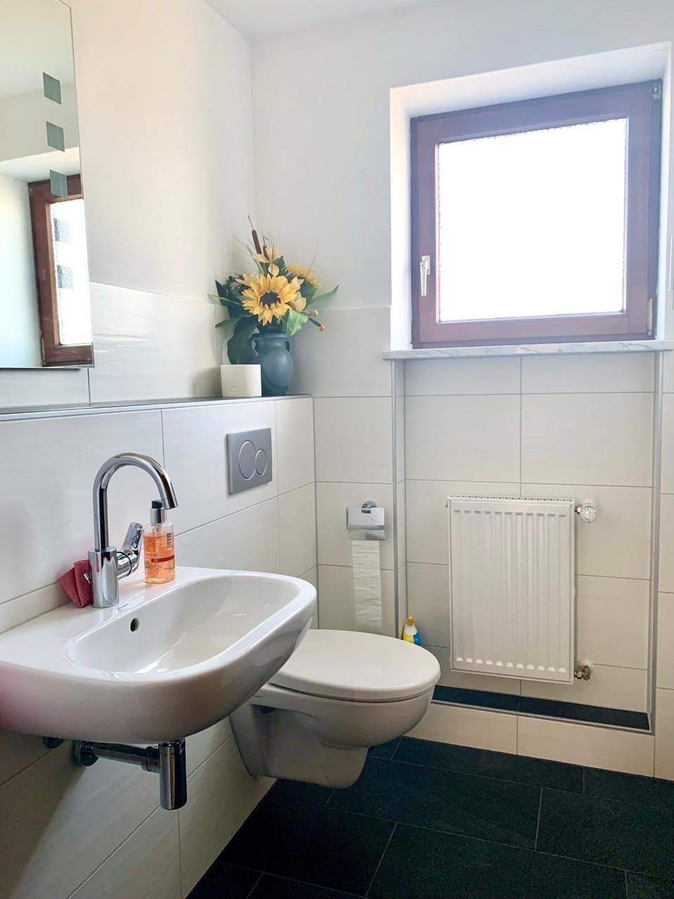 Bathroom, Living room