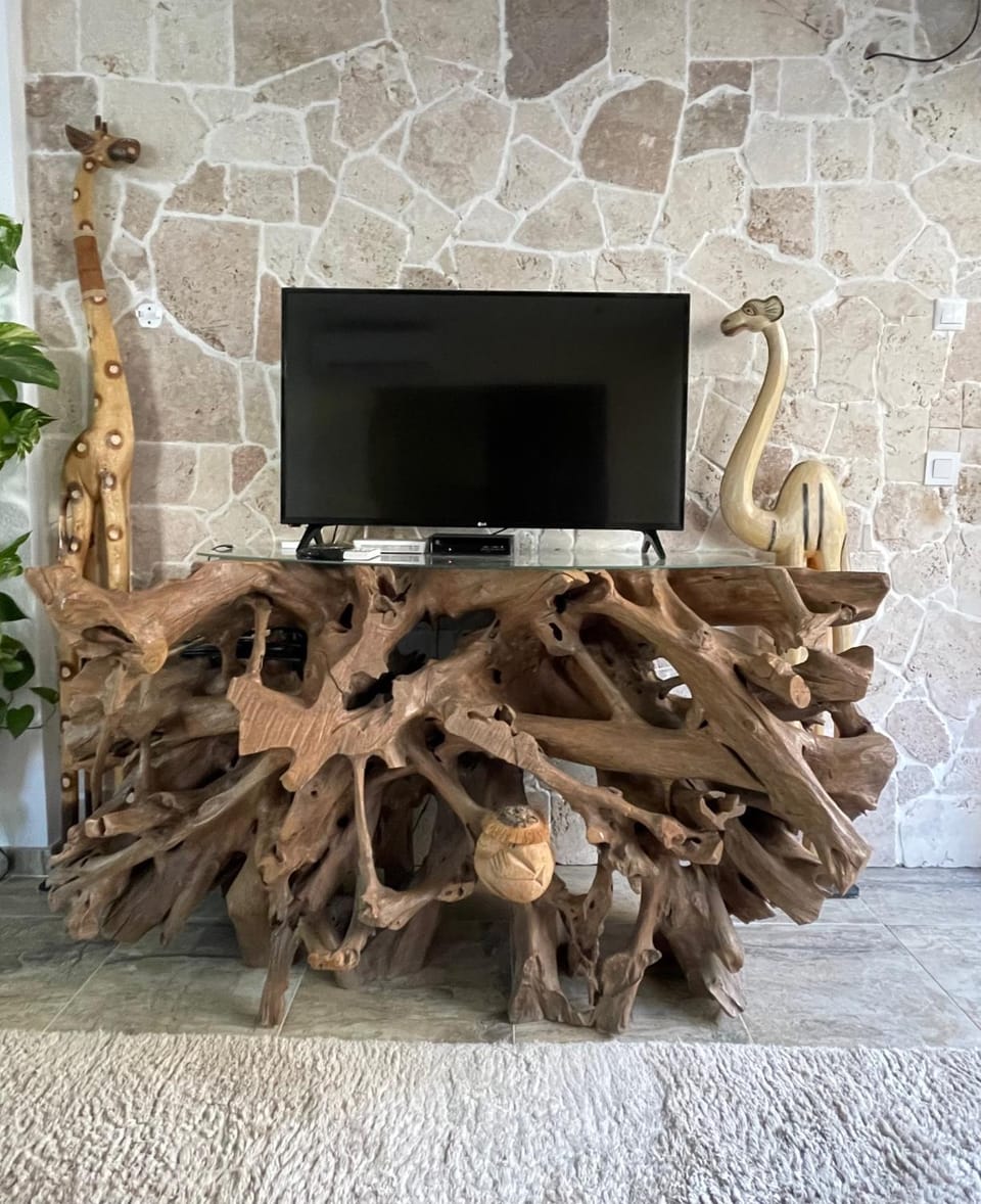 TV and multimedia