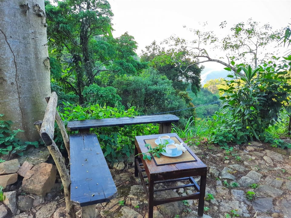 Patio, BBQ facilities, Coffee/tea facilities