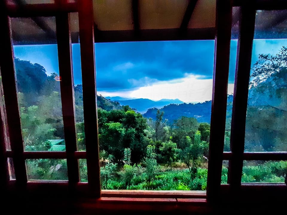 Garden view, Mountain view