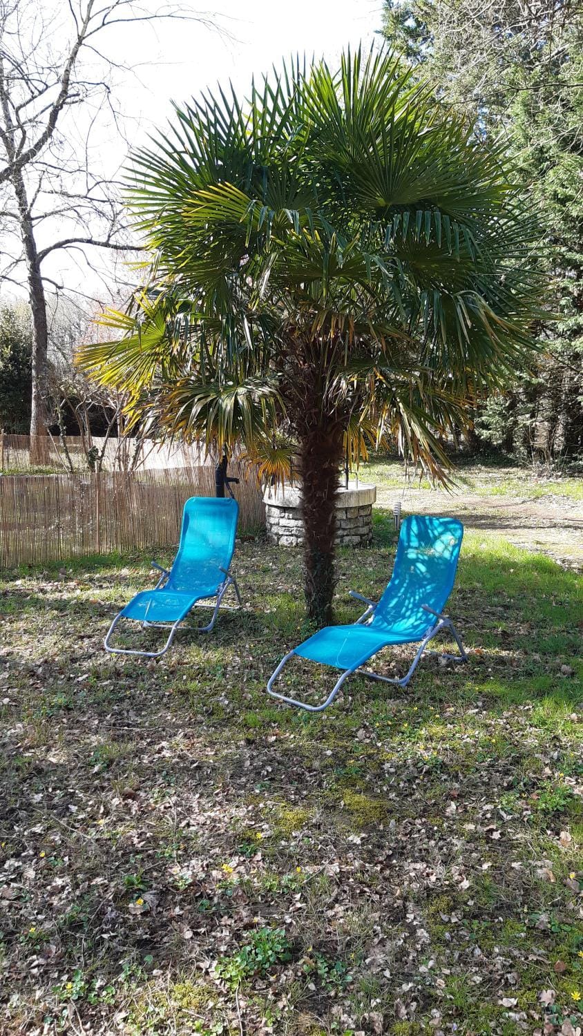 Garden, sunbed