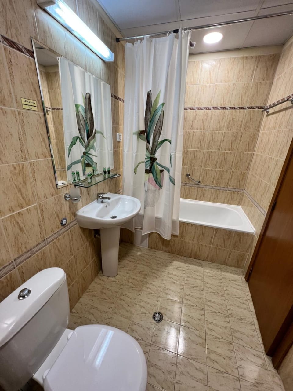 Shower, Toilet, Bathroom, Bath