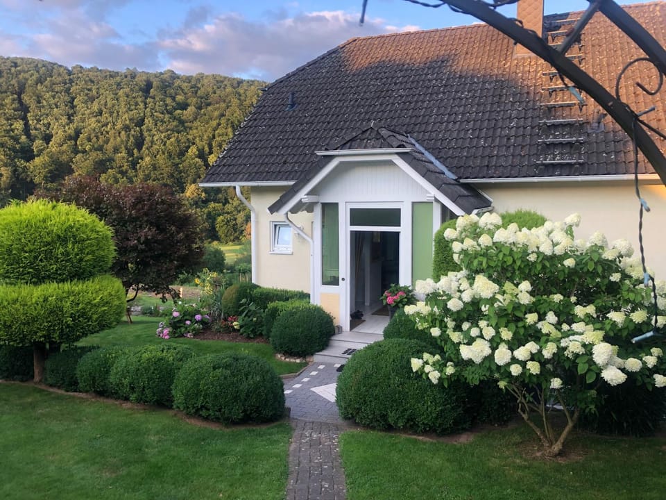 Property building, Garden
