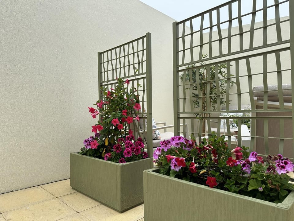 Balcony/Terrace, Garden view