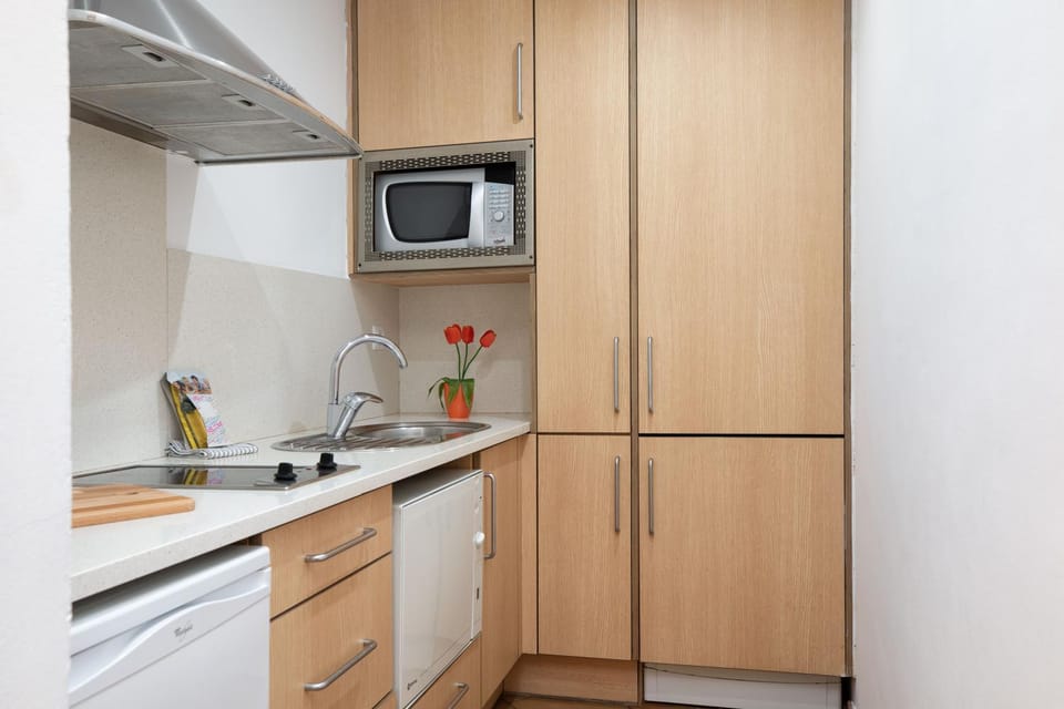 Kitchen or kitchenette, dishwasher, minibar, stove