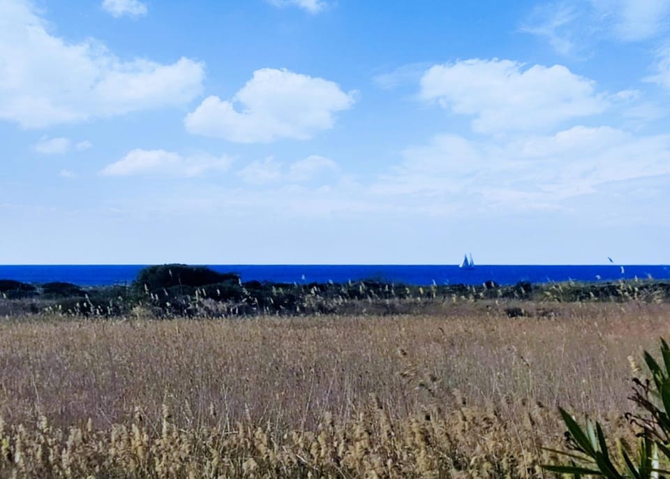 Natural landscape, Sea view