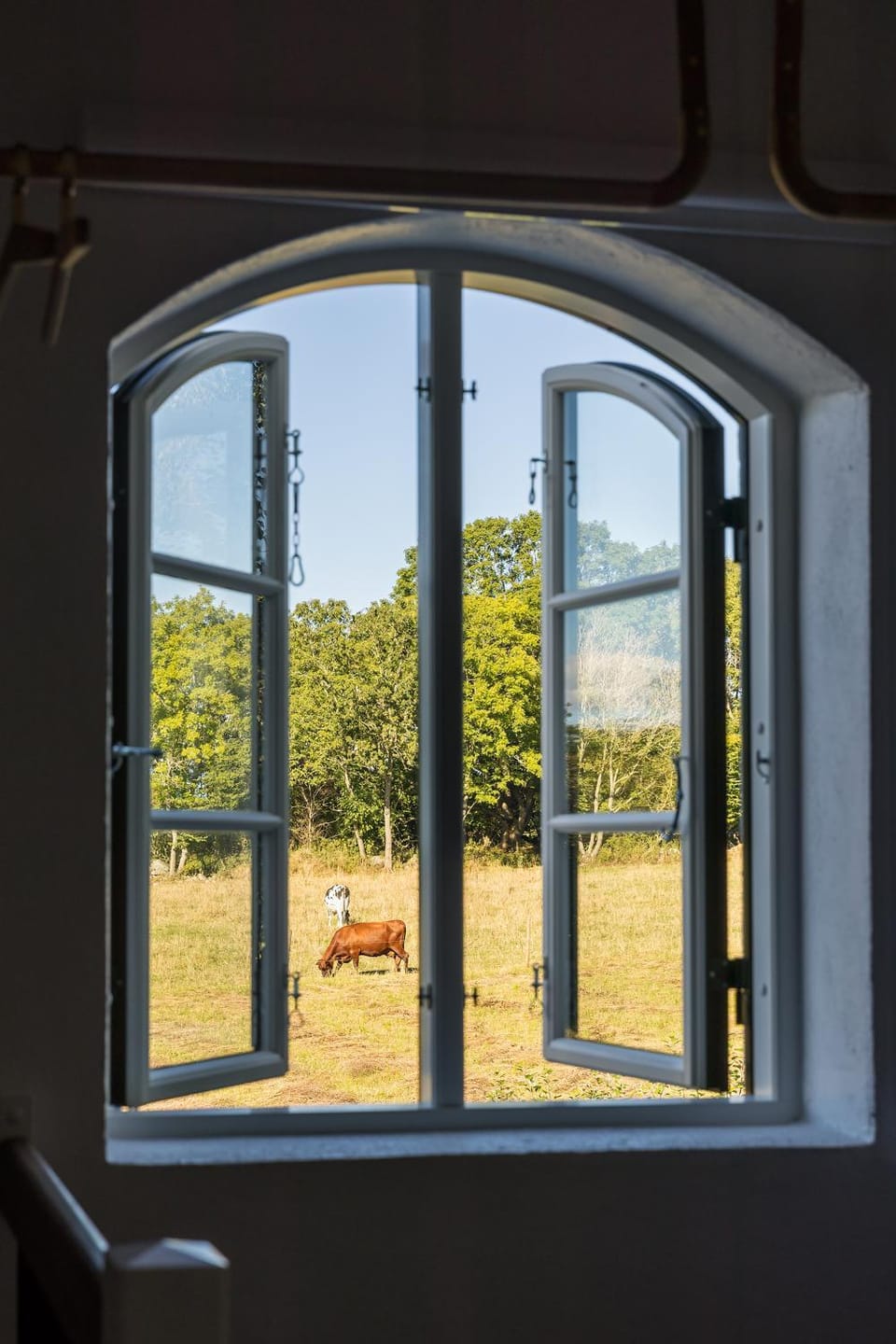 View (from property/room), Garden view