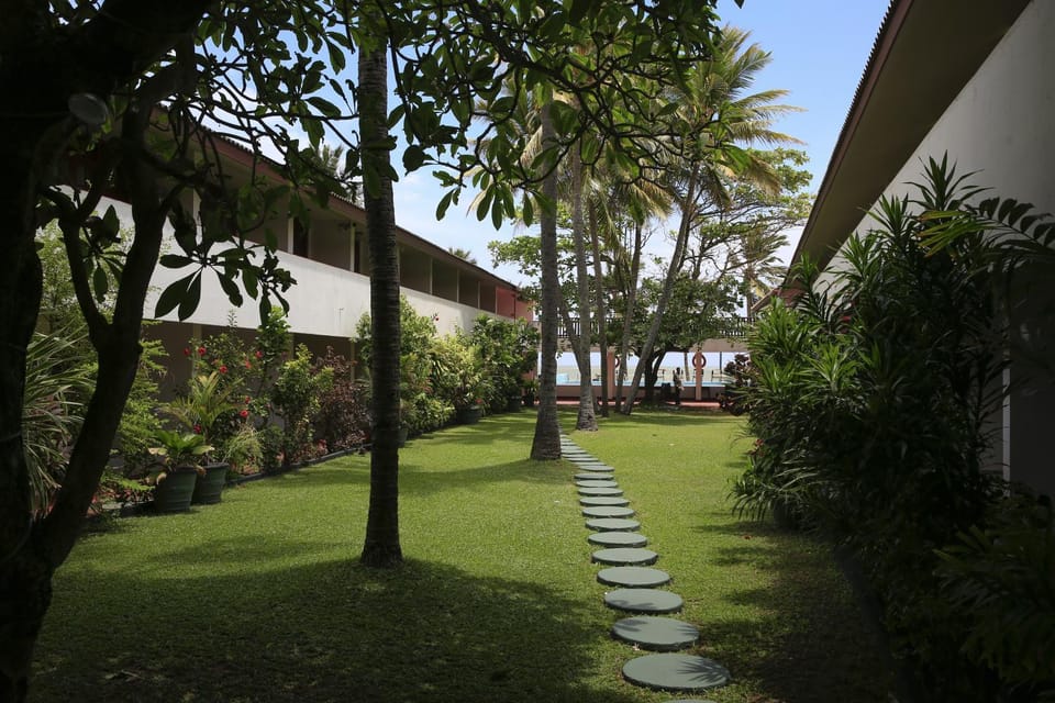 Day, Garden