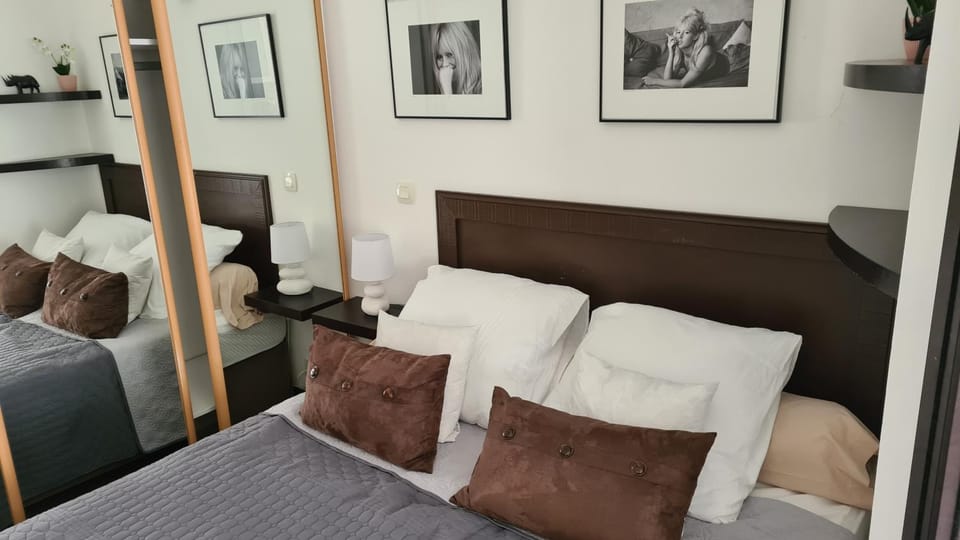 1 mn CROISETTE près Martinez Apartment in Cannes