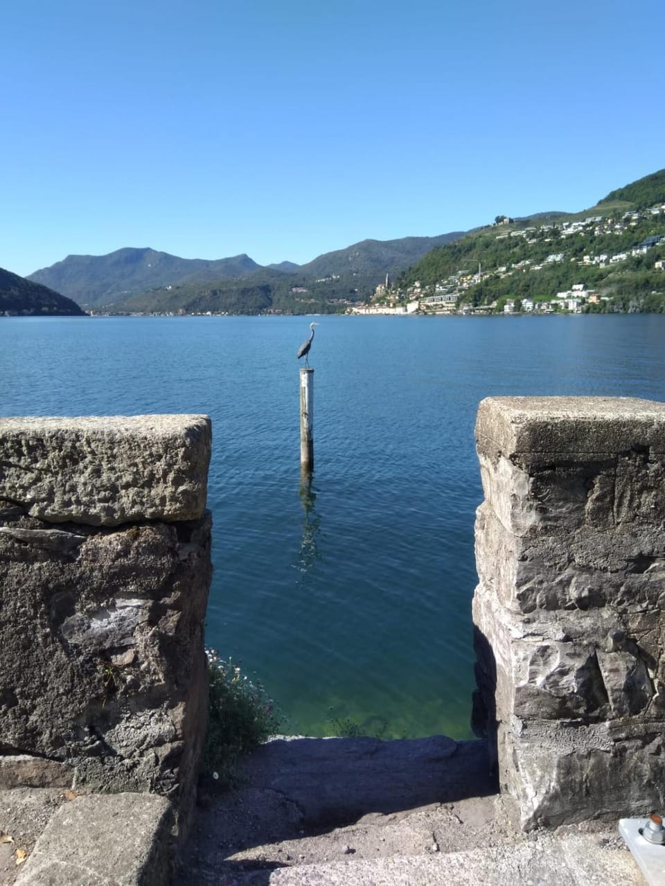 Lake view
