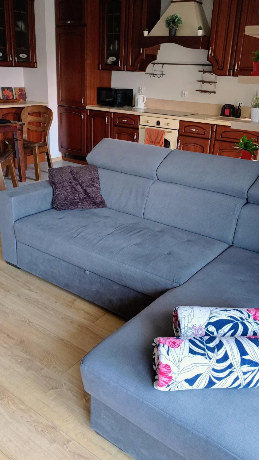 Apartament Kwiatowy klimatyzowany Apartment in Lower Silesian Voivodeship