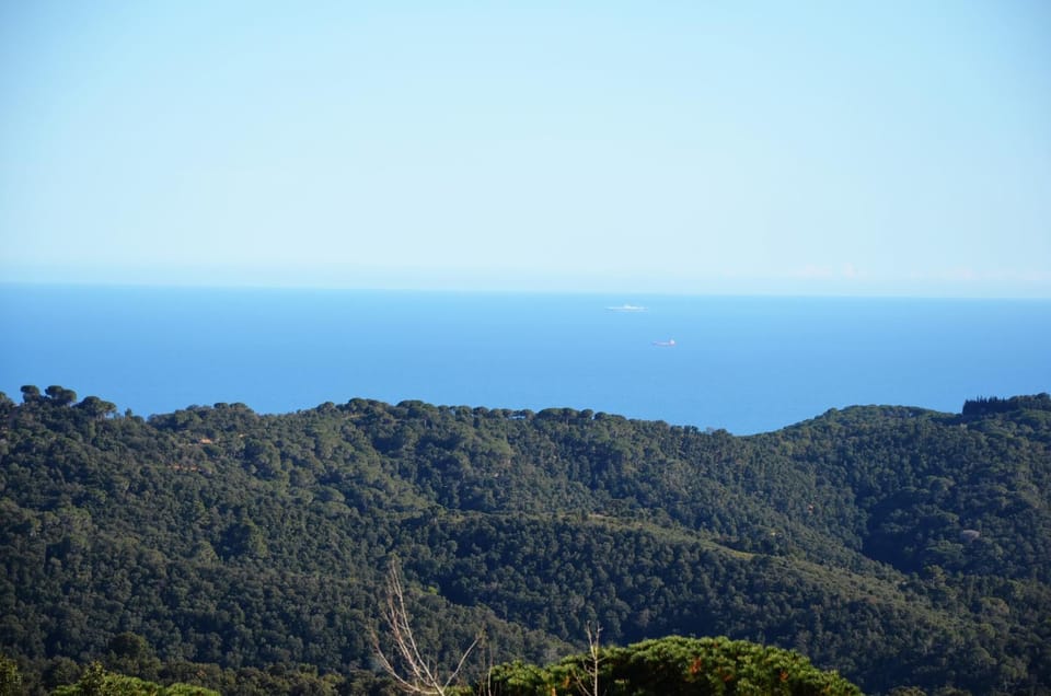 Sea view