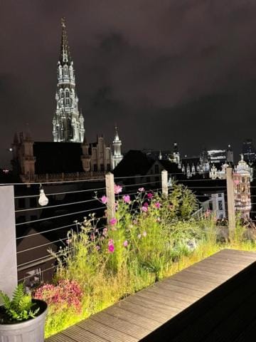 Duplex dernier étage avec terasse à deux pas de la grand place Apartment in Brussels