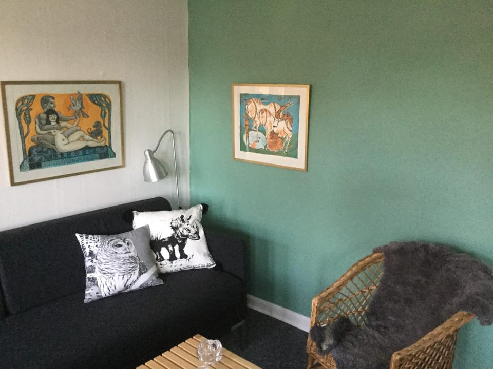 Ribe centrum i fredet hus Apartment in Region of Southern Denmark