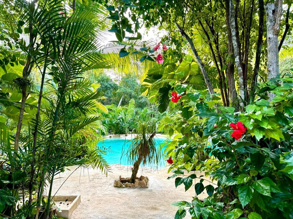 Natural landscape, Garden, Pool view, Swimming pool