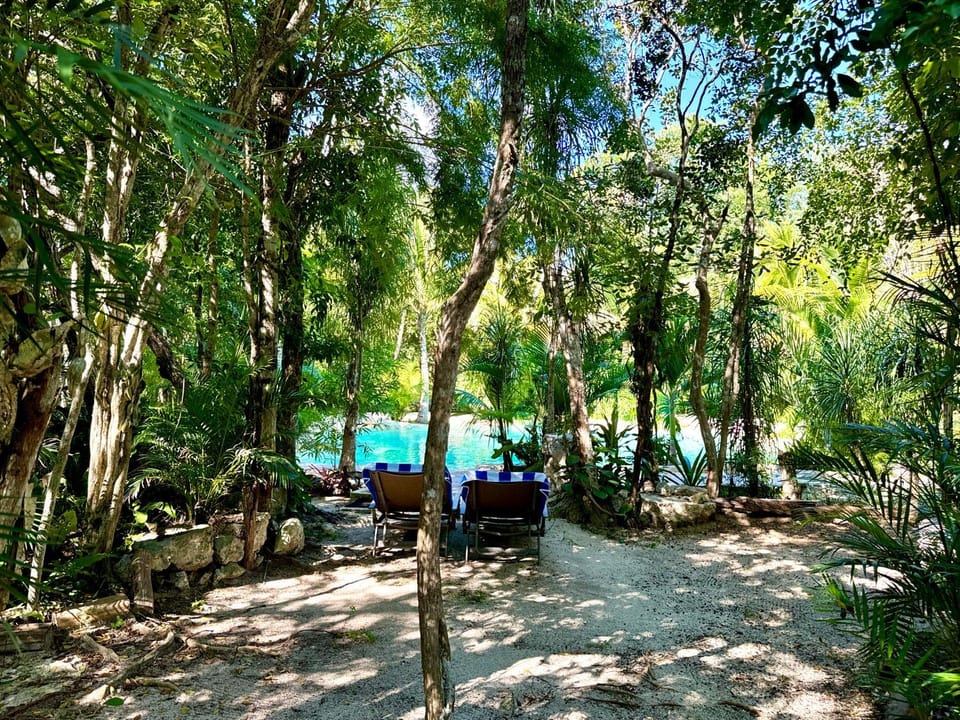 Natural landscape, Garden, Pool view, Swimming pool