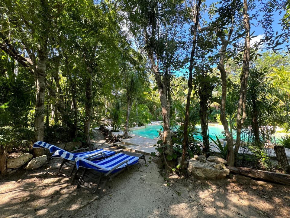 Natural landscape, Garden, Pool view, Swimming pool