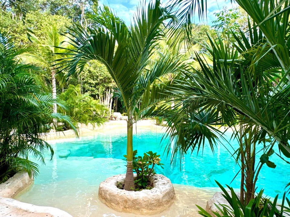 Garden view, Pool view, Swimming pool