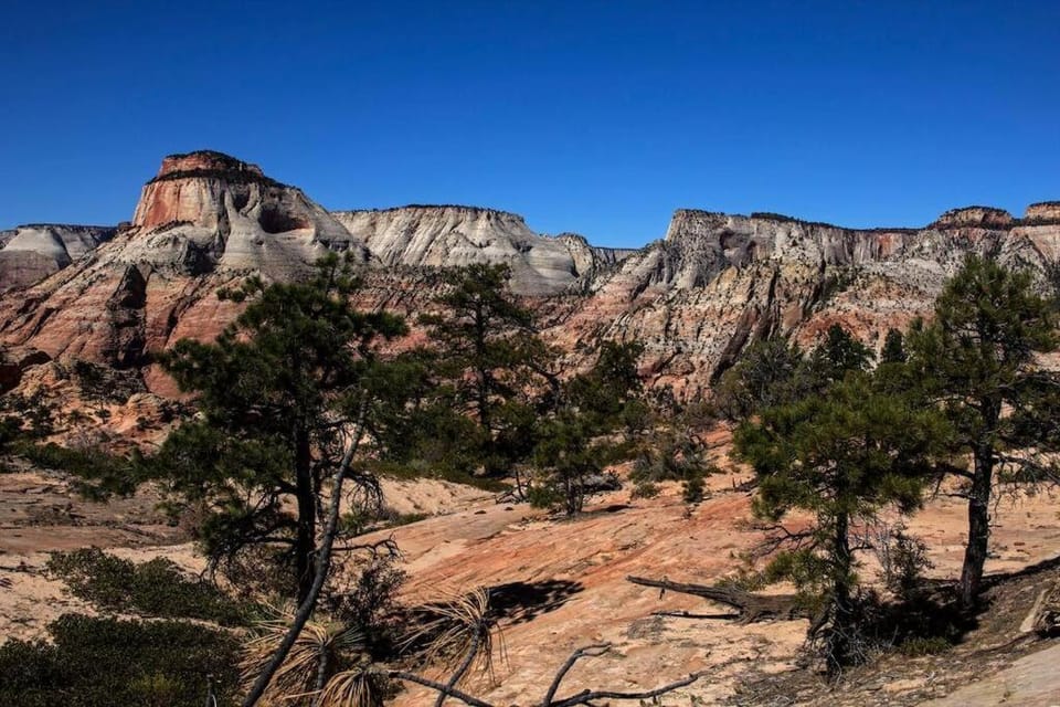 Free Spirit, Walking distance to East Zion trails House in Zion National Park
