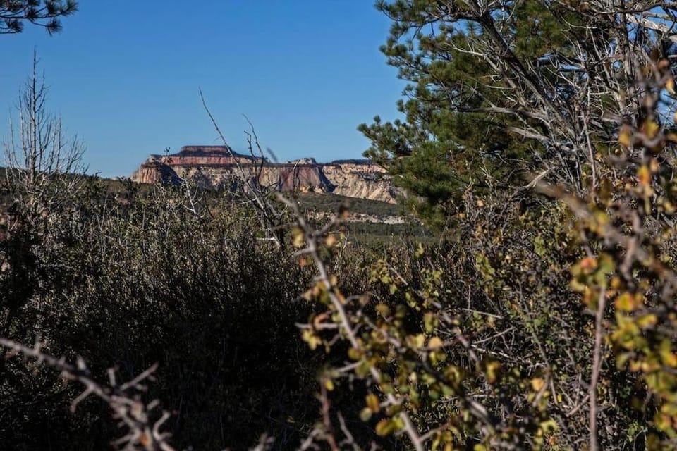 Free Spirit, Walking distance to East Zion trails House in Zion National Park
