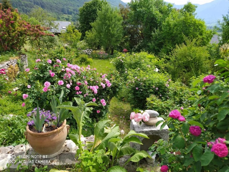 Day, Natural landscape, Garden, Garden view, Mountain view