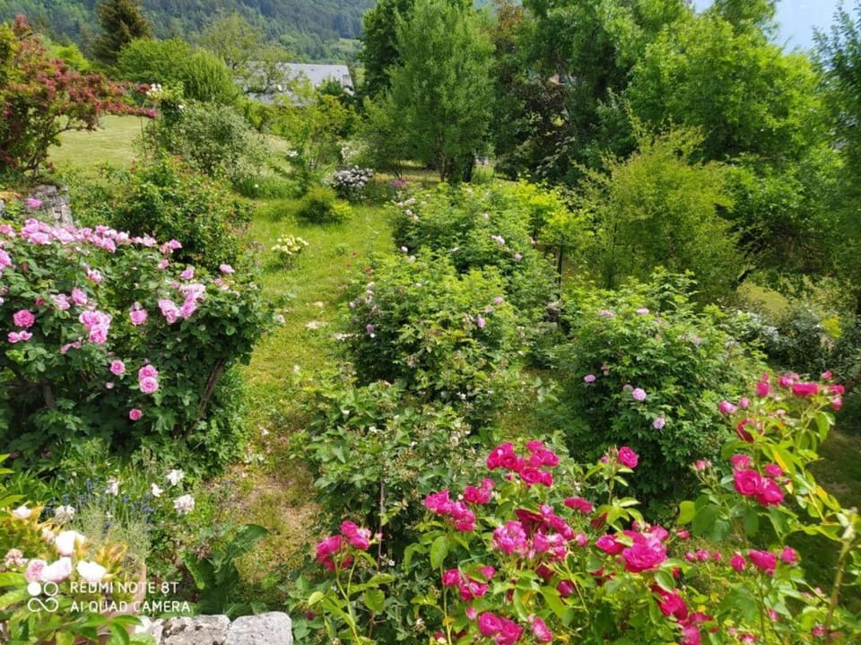 Day, Natural landscape, Garden, Garden view, Mountain view